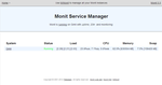 Monitoring Your X86 Synology With Monit